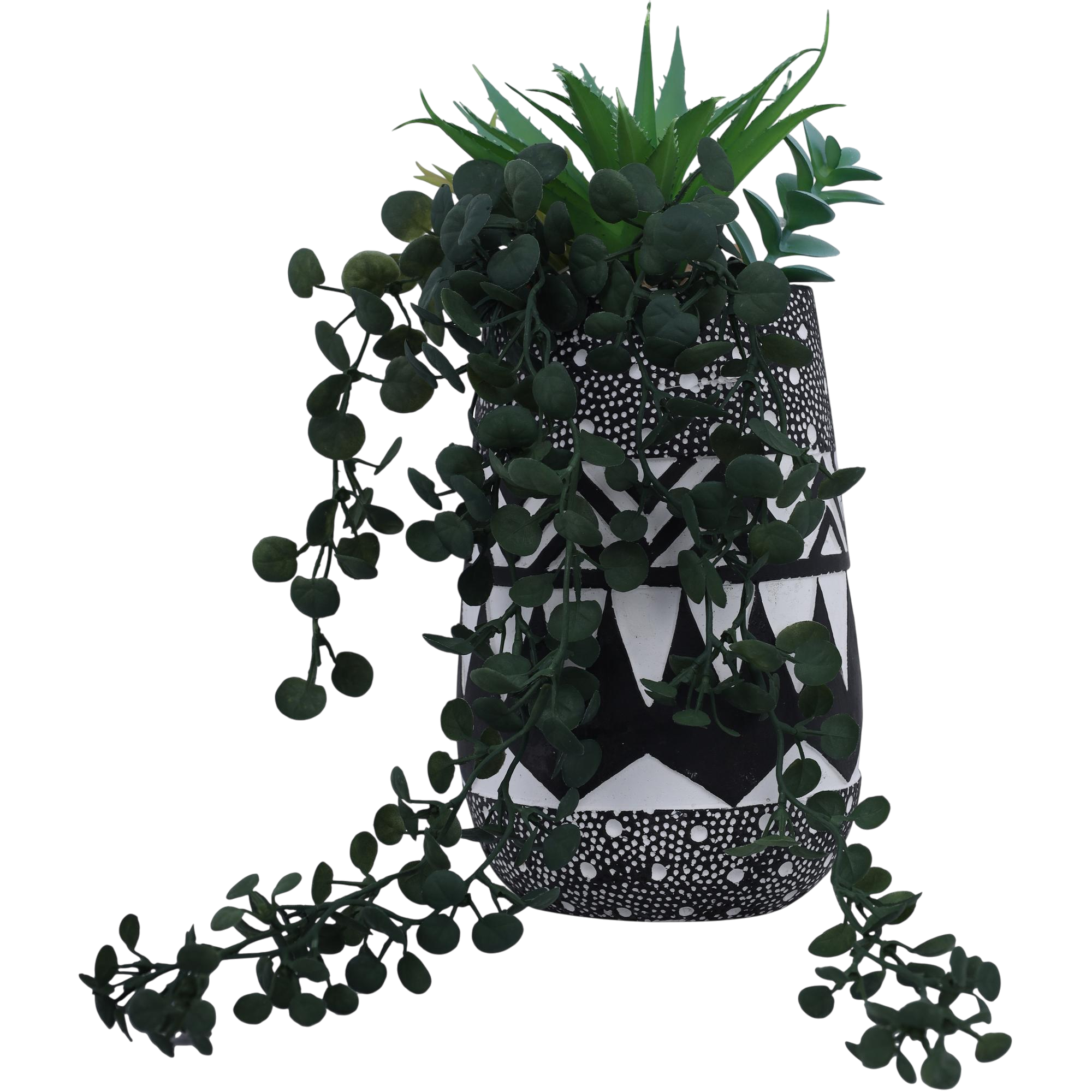 Planta c/pote