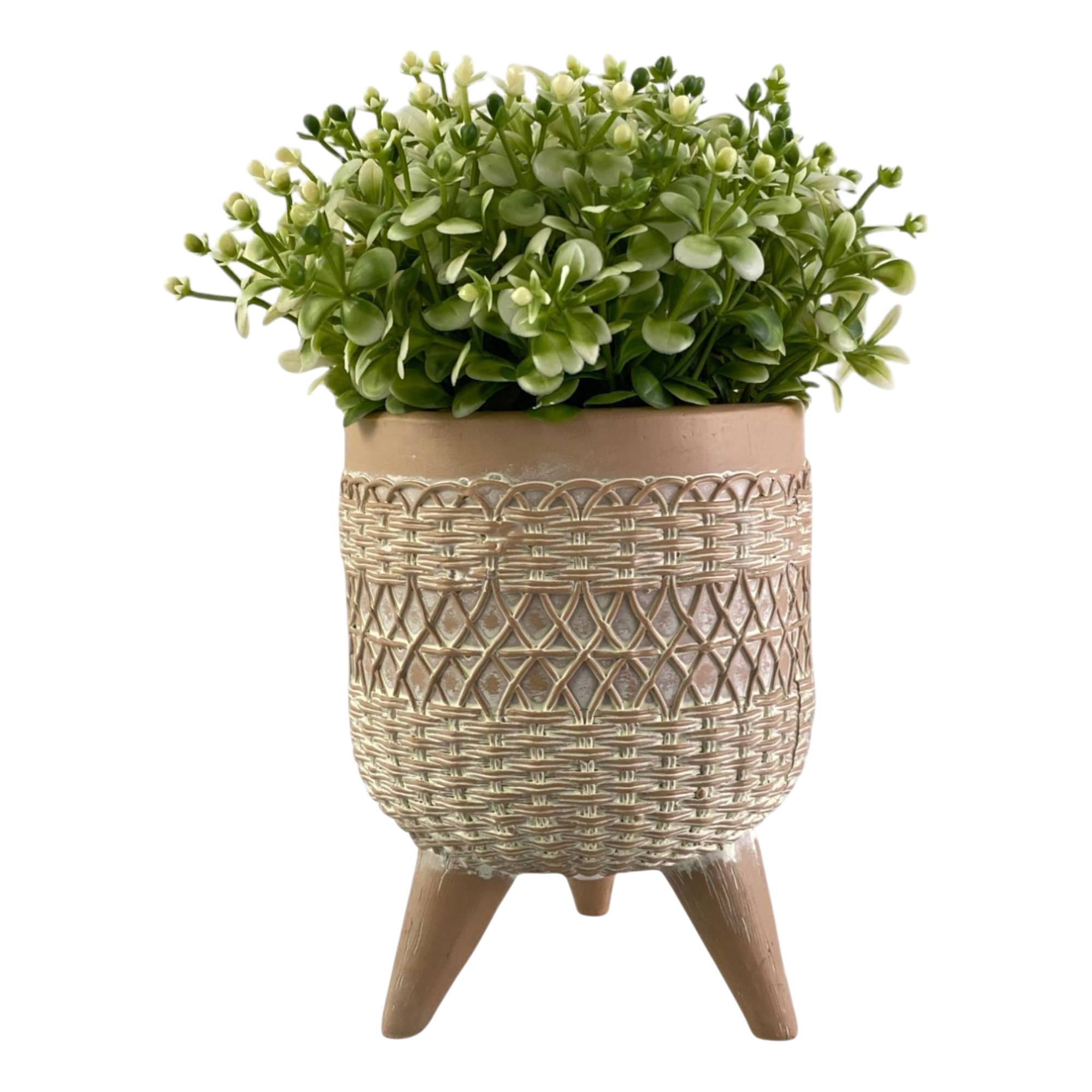 Planta c/Pote