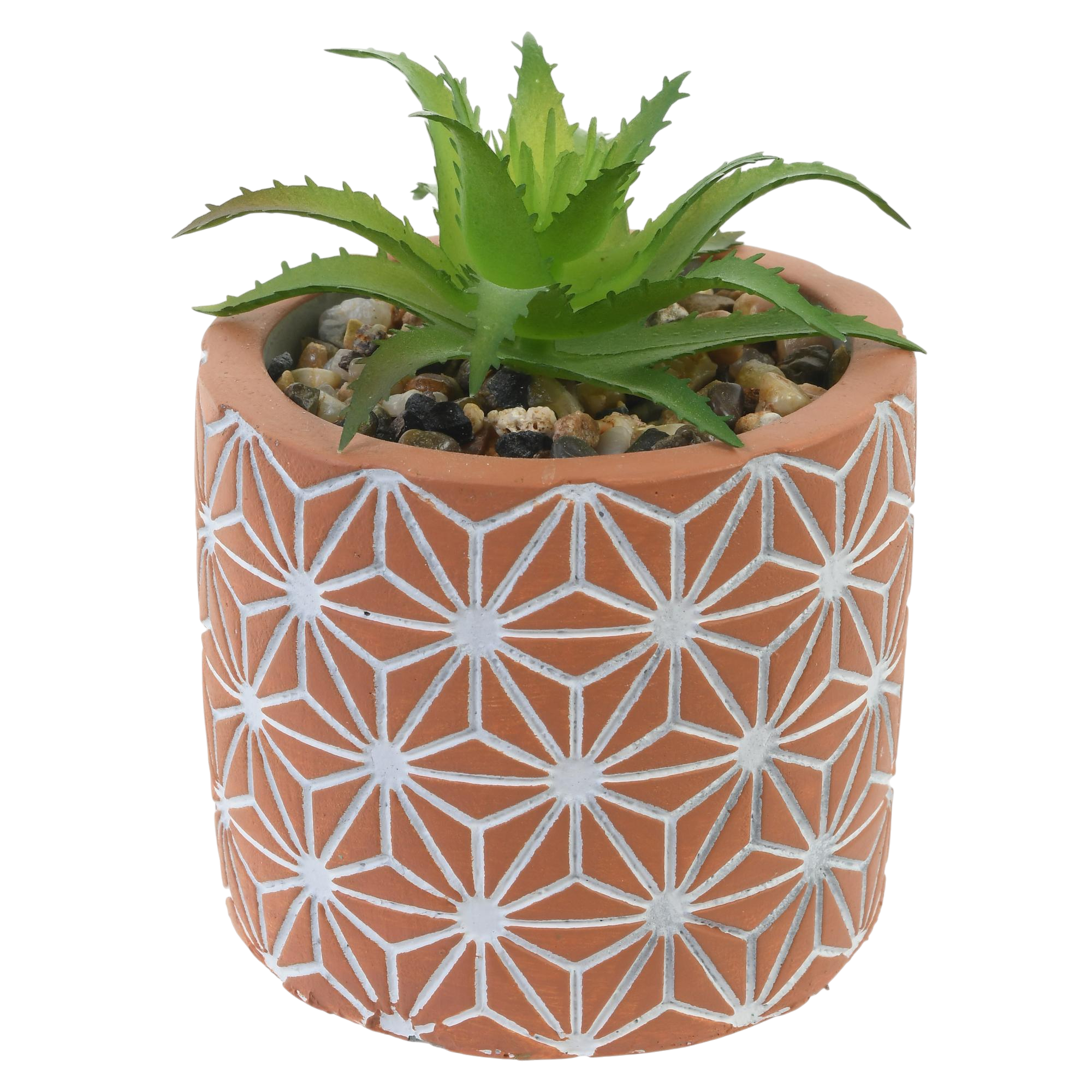 Planta c/Pote