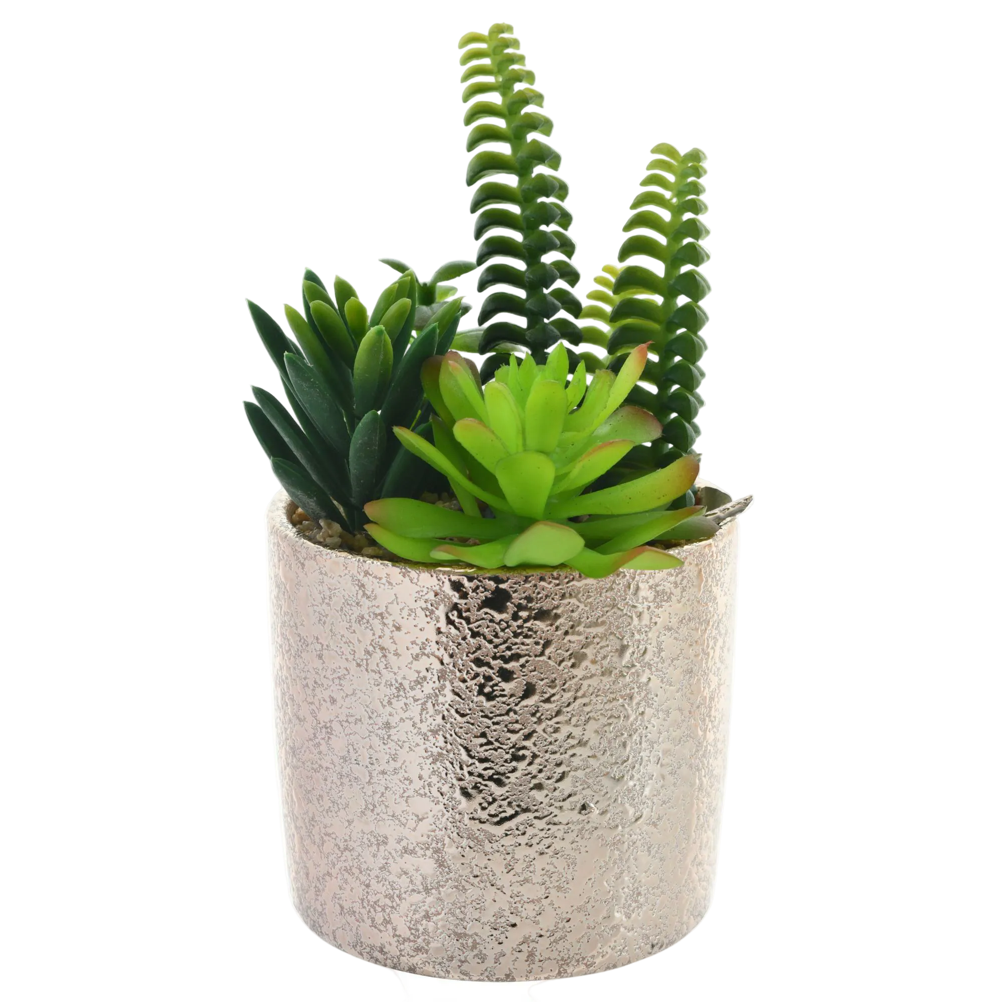 PLANTA ART C/POTE