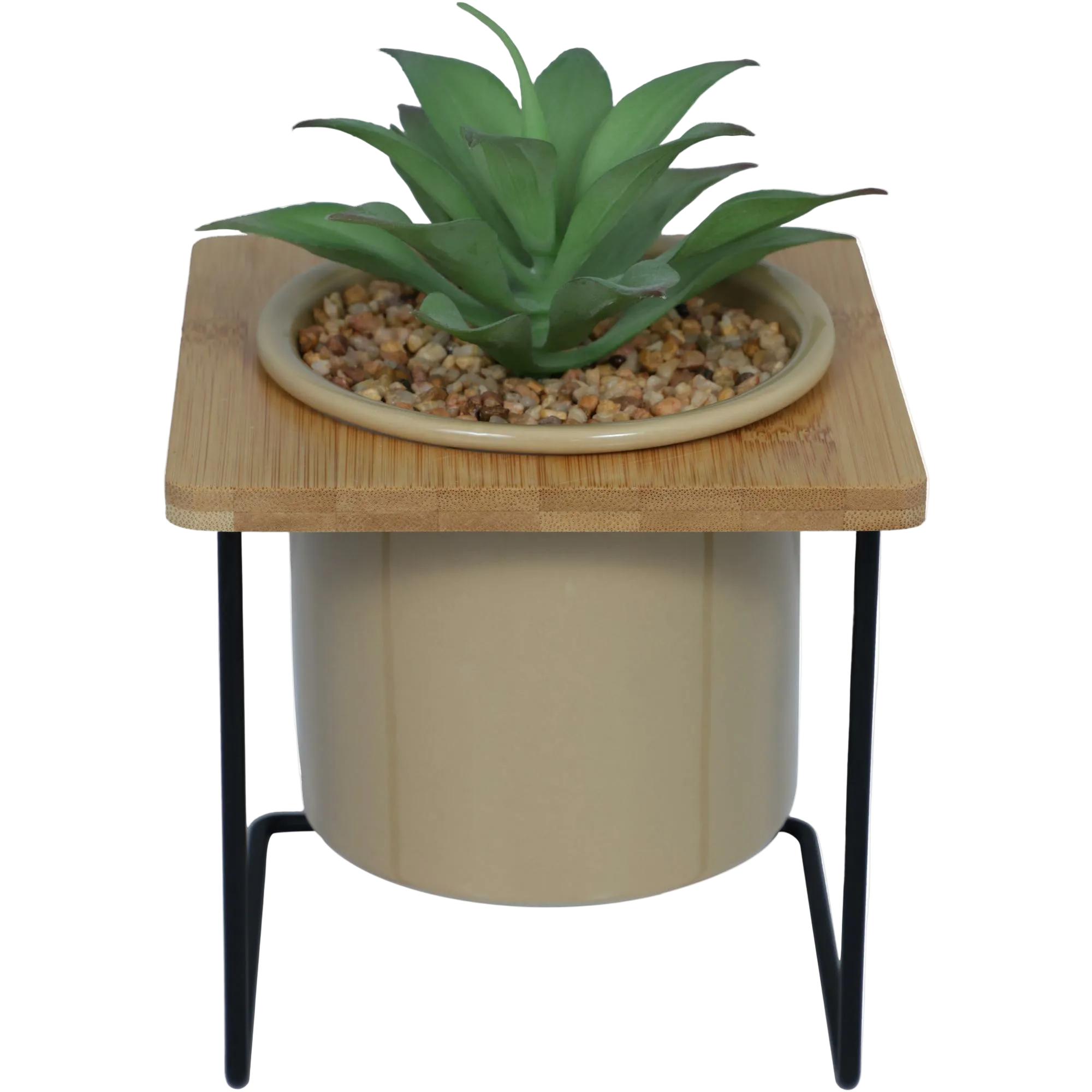 Planta con Soporte