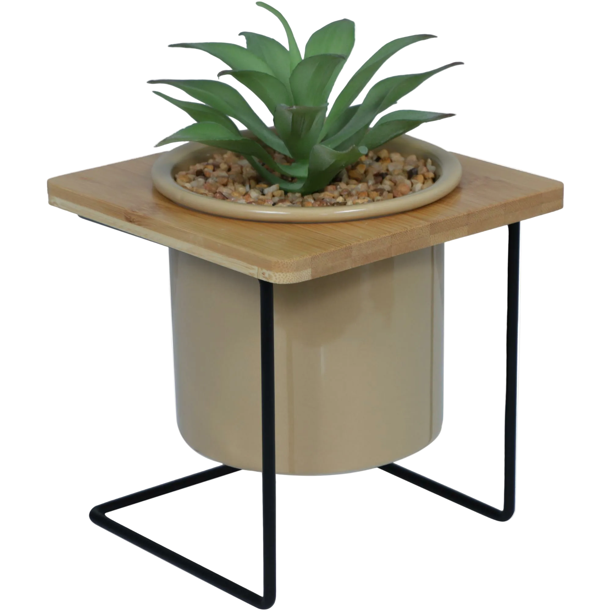 Planta con Soporte