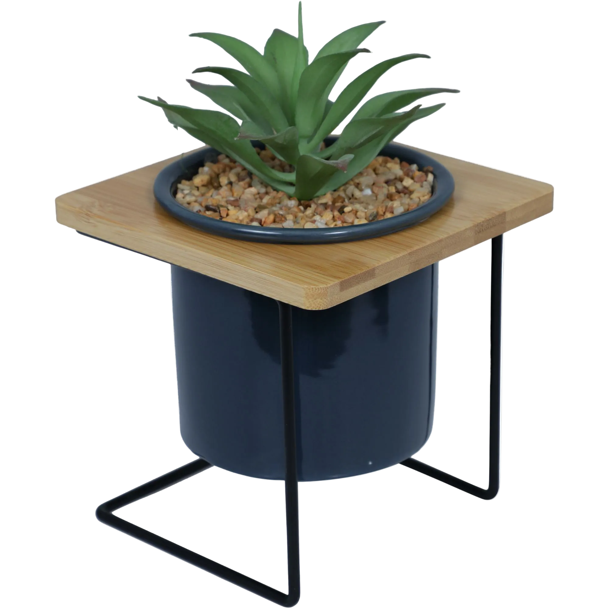 Planta con Soporte azul