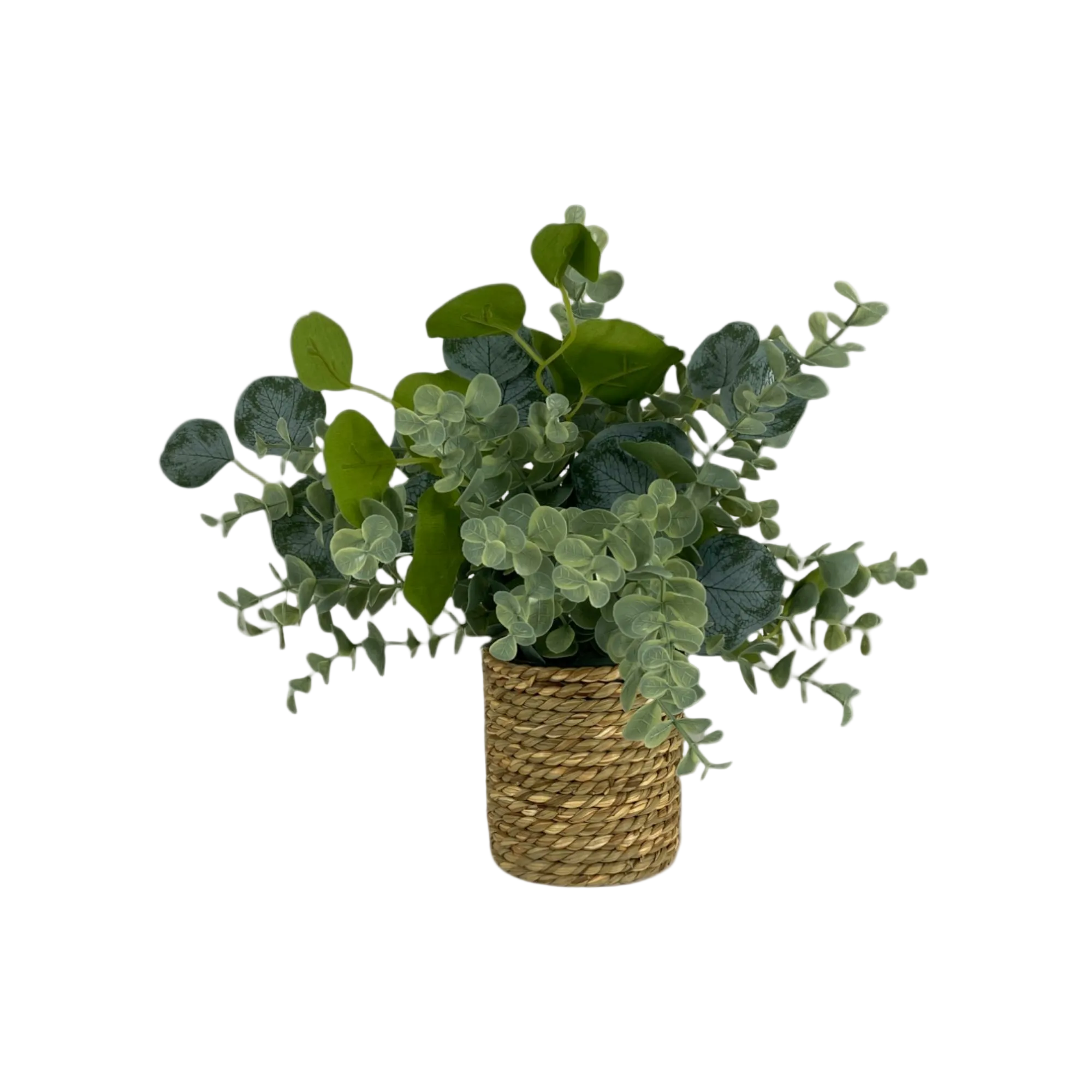 Planta Con Pote 30CM