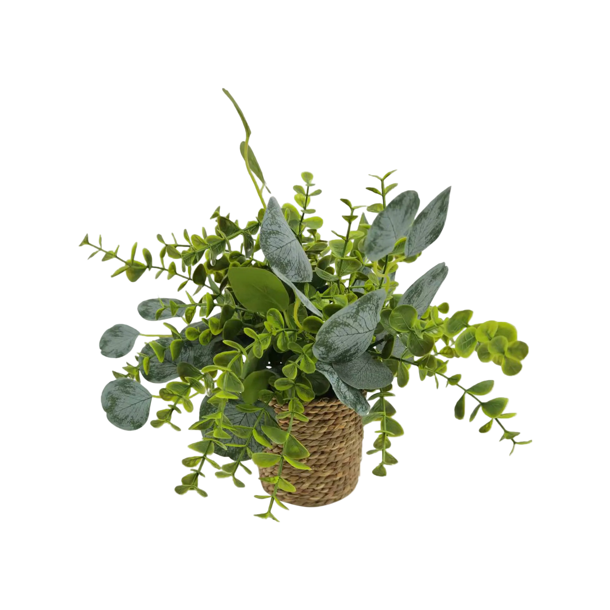 Planta Con Pote 30CM