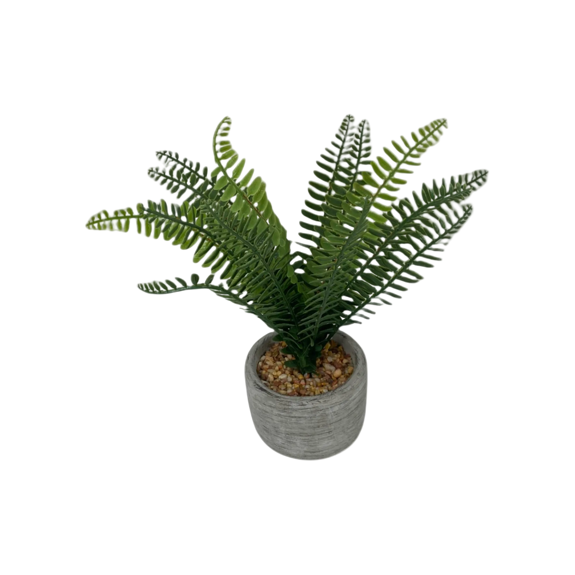 Planta C/Pote