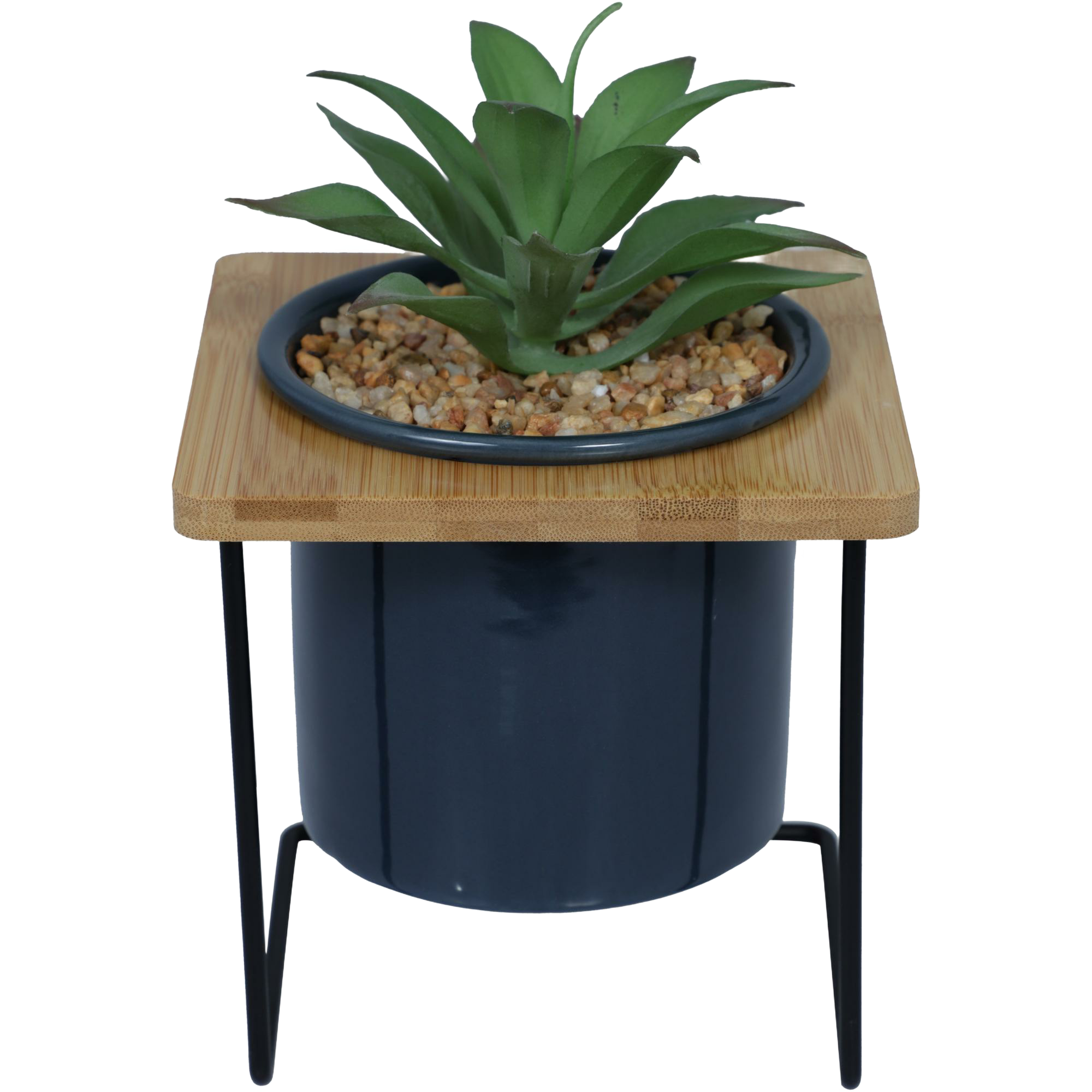 Planta con Soporte azul