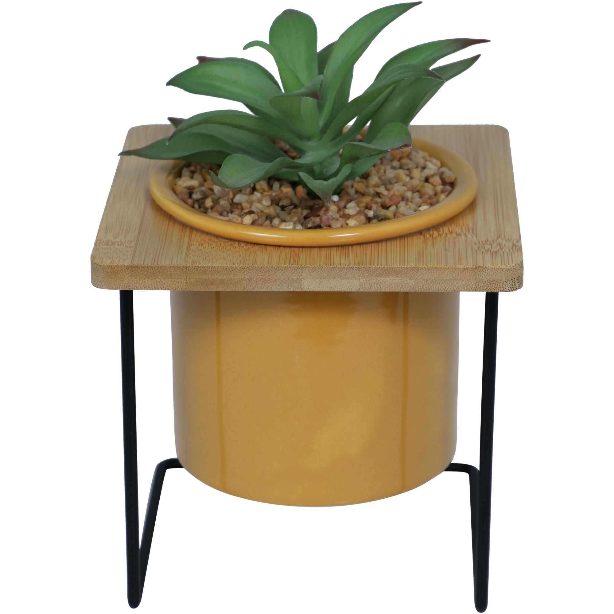 Planta con Soporte color mango